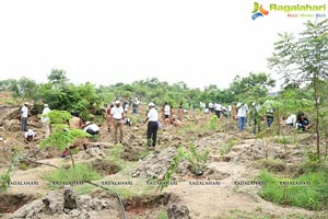 Hyderabad IT Haritha Haram