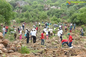 Hyderabad IT Haritha Haram