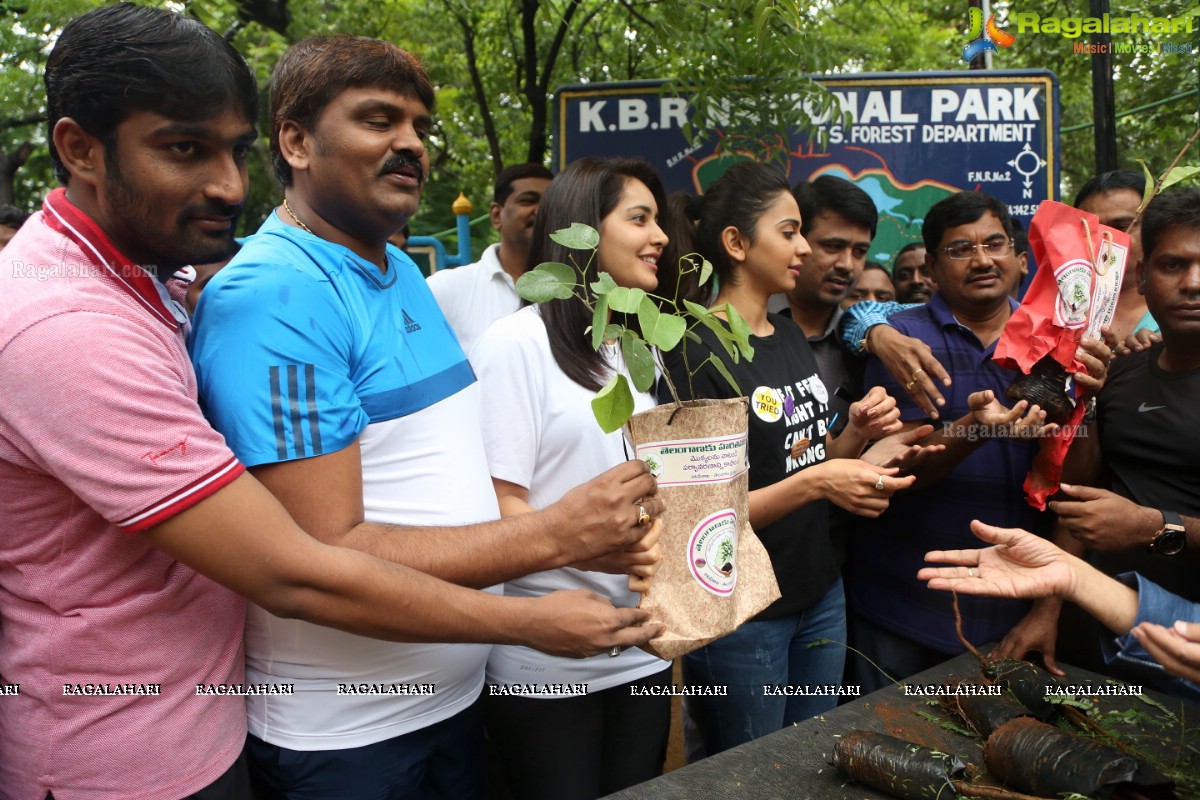 Rakul Preet Singh and Raashi Khanna at Haritha Haram, KBR Park, Hyderabad