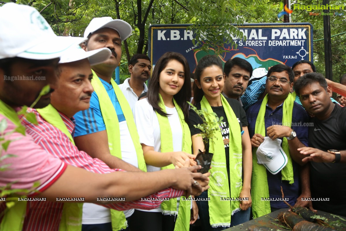 Rakul Preet Singh and Raashi Khanna at Haritha Haram, KBR Park, Hyderabad