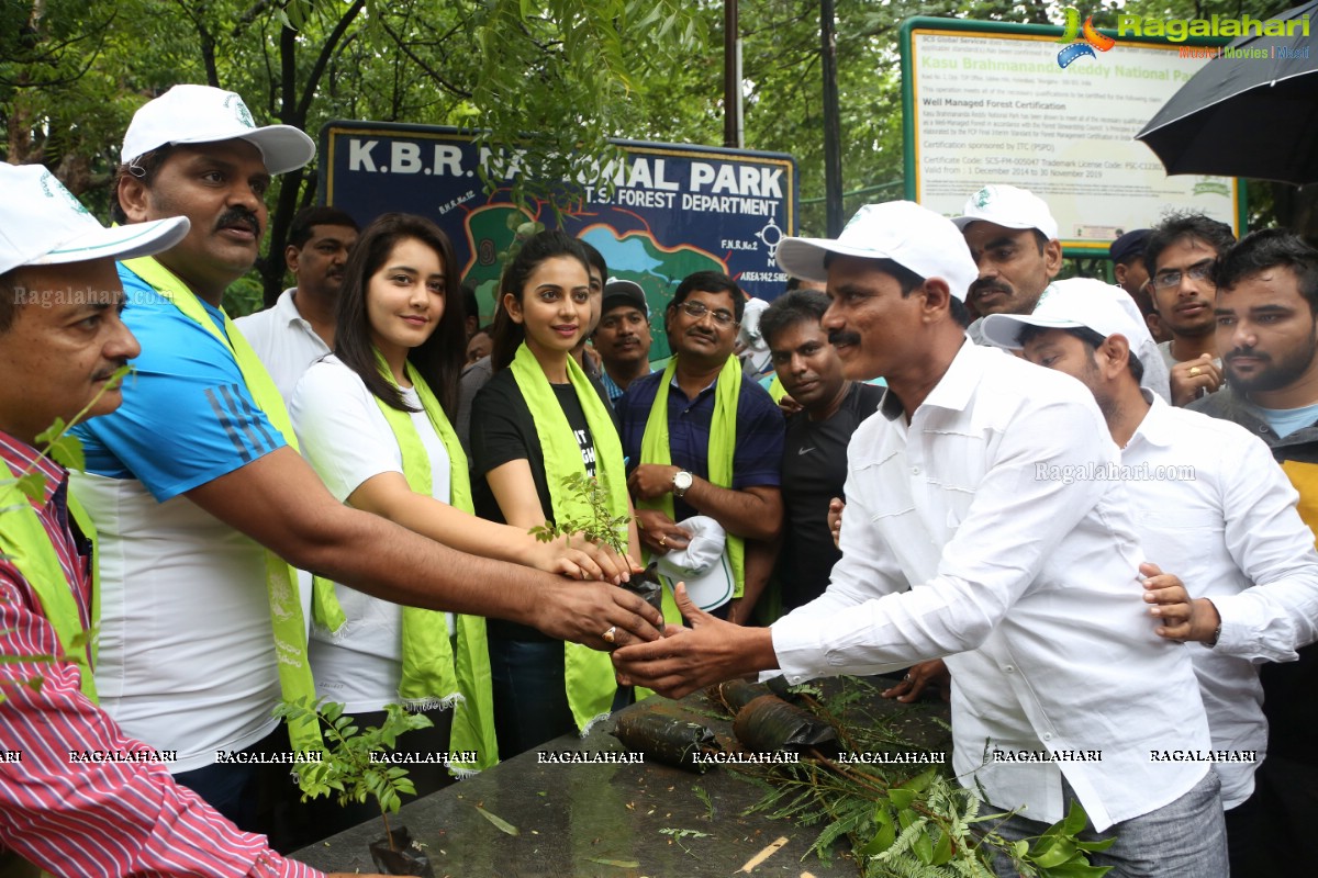 Rakul Preet Singh and Raashi Khanna at Haritha Haram, KBR Park, Hyderabad