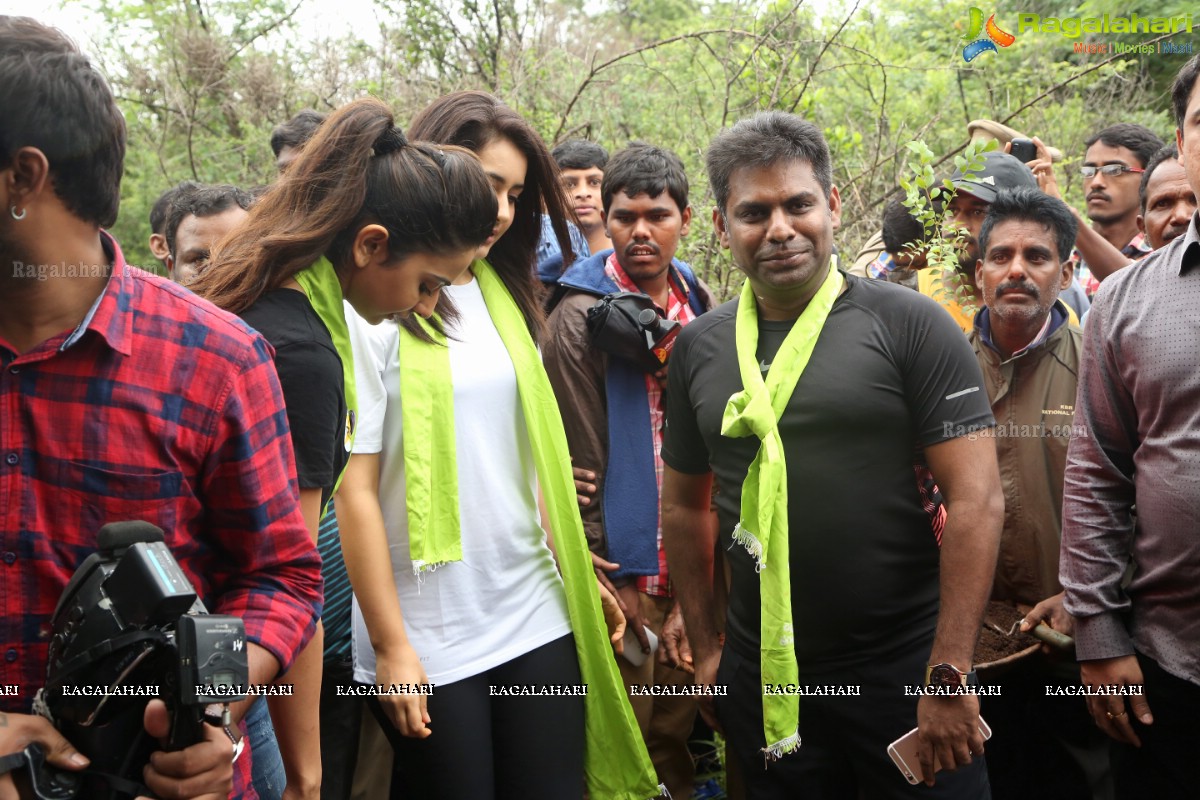 Rakul Preet Singh and Raashi Khanna at Haritha Haram, KBR Park, Hyderabad