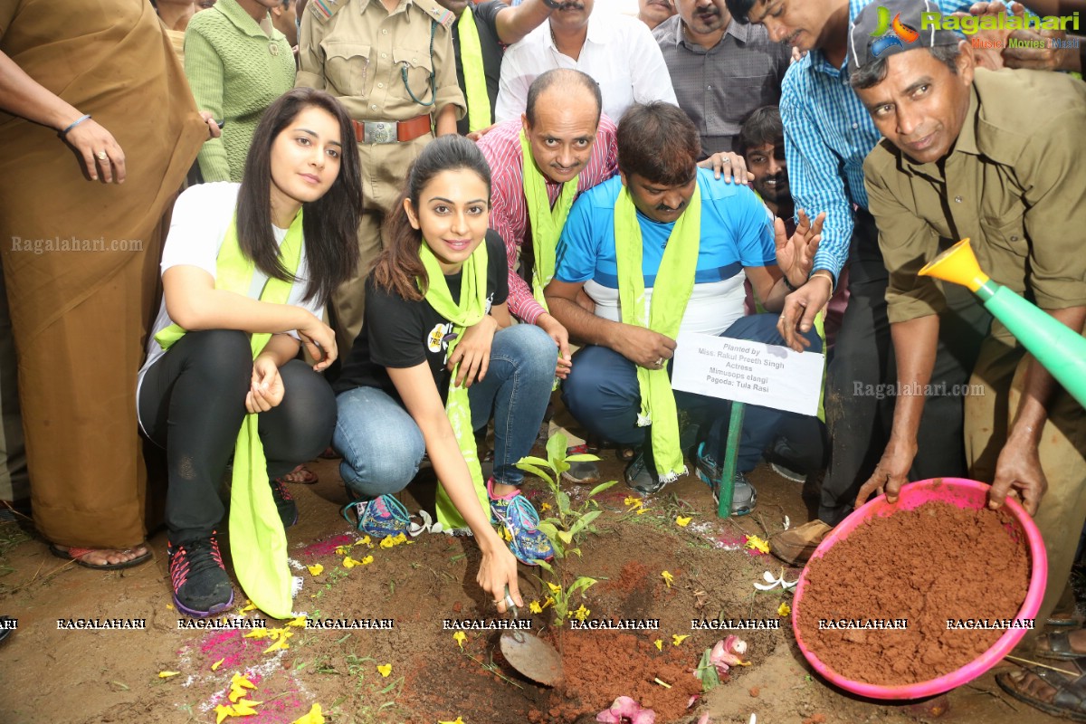 Rakul Preet Singh and Raashi Khanna at Haritha Haram, KBR Park, Hyderabad