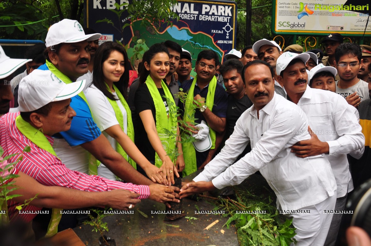 Rakul Preet Singh and Raashi Khanna at Haritha Haram, KBR Park, Hyderabad