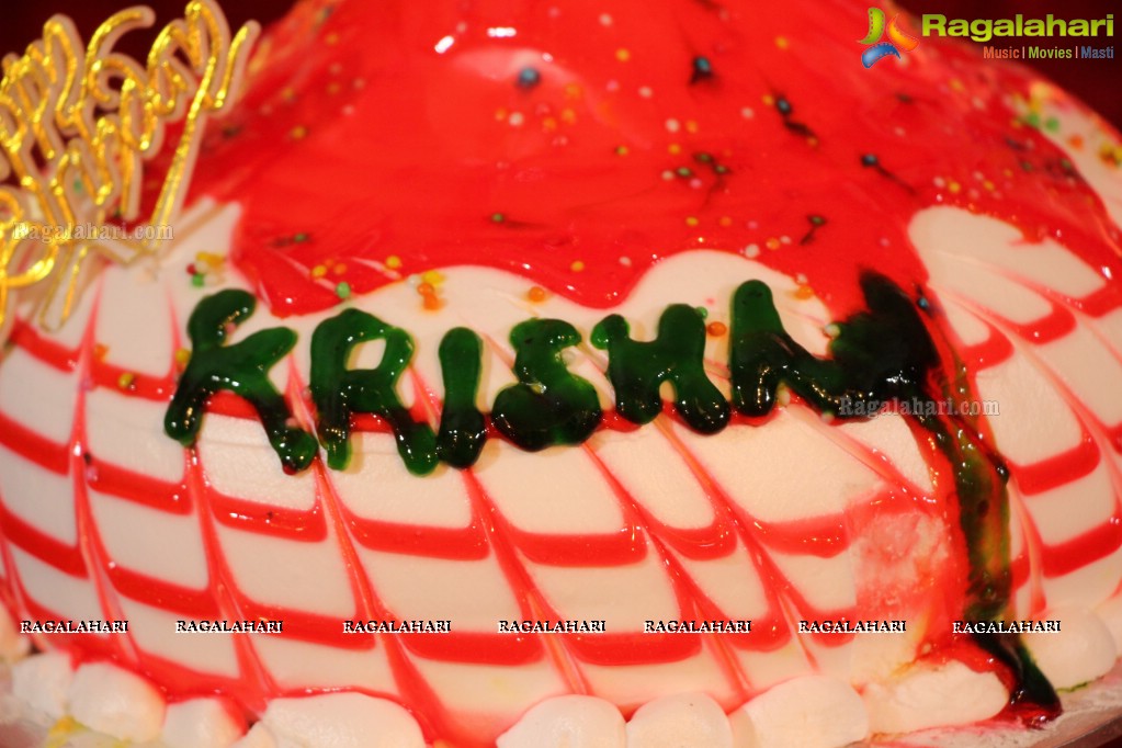 Krishaa Jaiswal Birthday Party