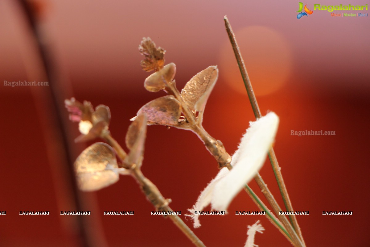 Grand Engagement Ceremony of Kushal Karnani and Shivani at Vivanta by Taj, Hyderabad