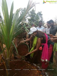 Manchu Lakshmi Haritha Haram