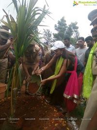 Manchu Lakshmi Haritha Haram