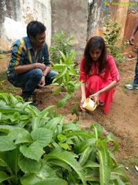 Manchu Lakshmi Haritha Haram Program