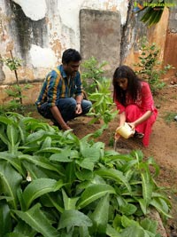 Manchu Lakshmi Haritha Haram Program