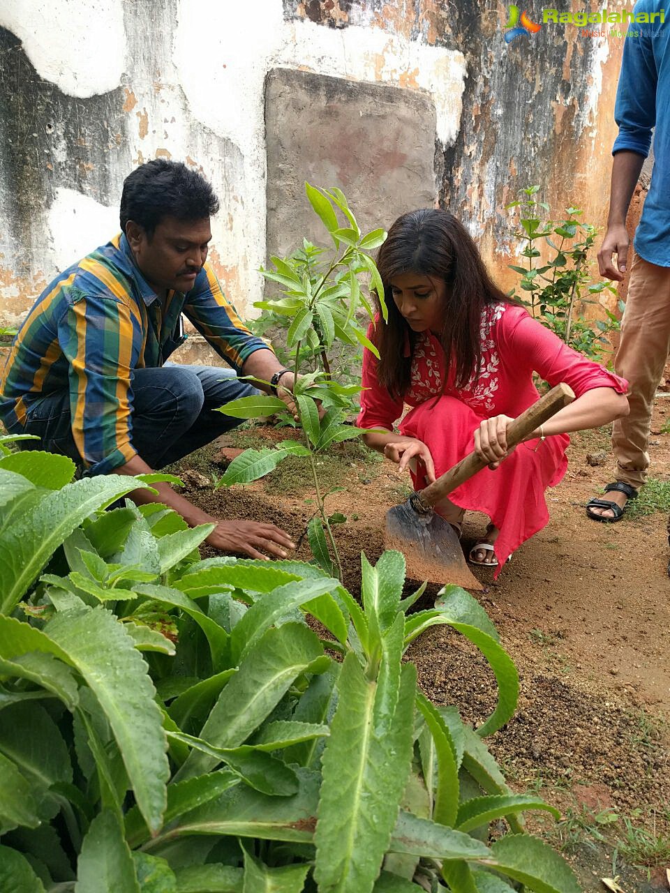 Manchu Lakshmi Participates in Haritha Haram Program