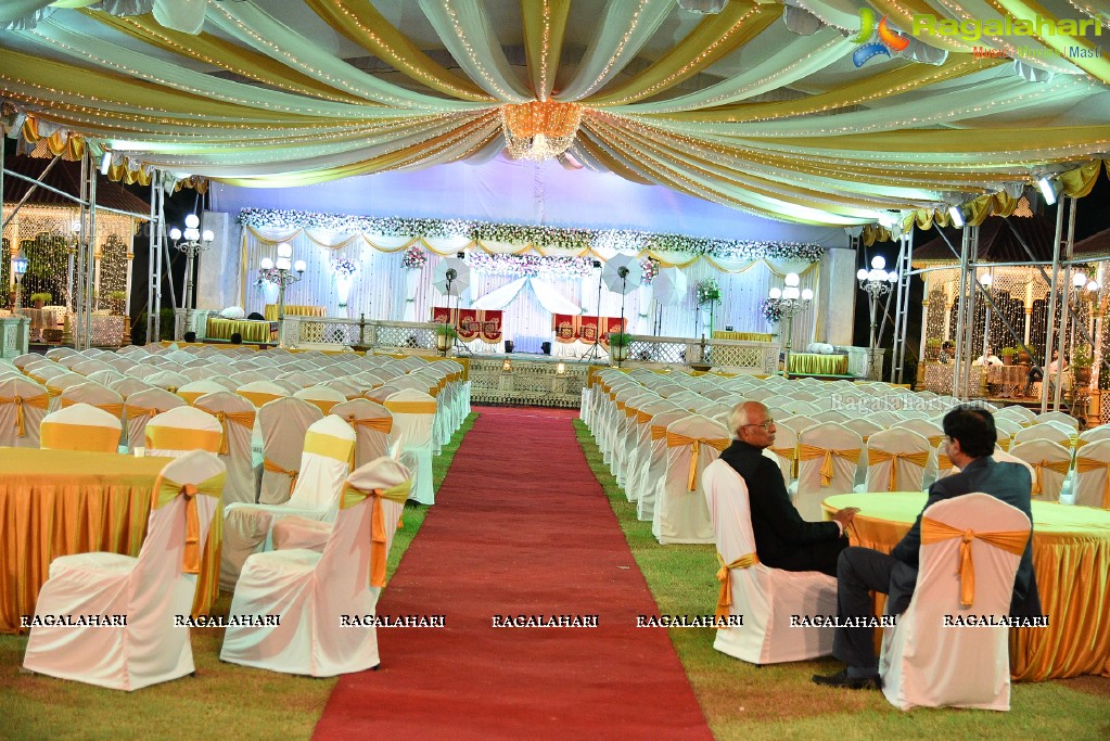 Maria and Dr Syed Mohd Faisal Mahmood. Reception at Paigah Gardens, Begumpet