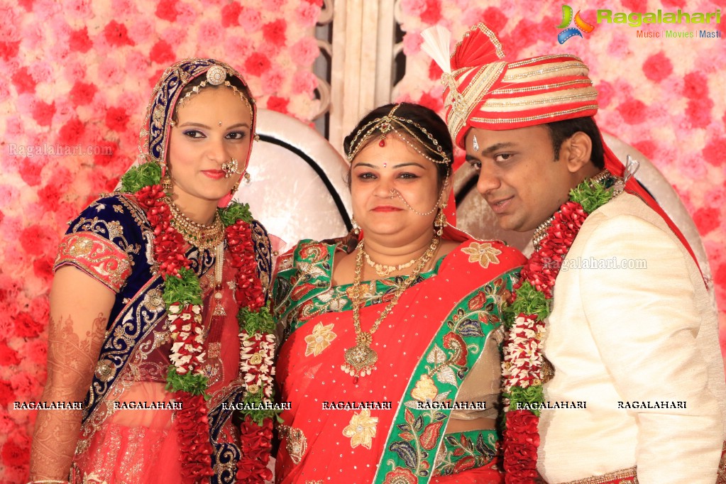 Grand Reception of Mohit Bung-Payal at Mayfair Convention, Hyderabad