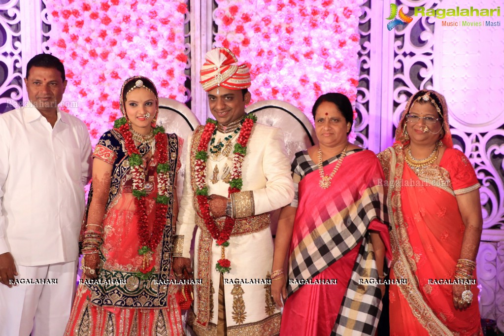 Grand Reception of Mohit Bung-Payal at Mayfair Convention, Hyderabad