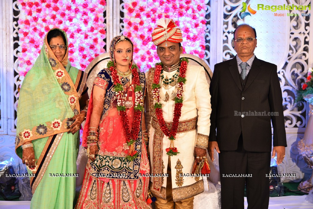 Grand Reception of Mohit Bung-Payal at Mayfair Convention, Hyderabad