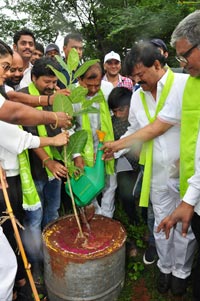 Regina Cassandra Haritha Haram Program