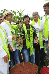 Regina Cassandra Haritha Haram Program