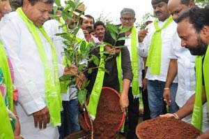 Regina Cassandra Haritha Haram Program