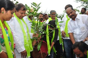 Regina Cassandra Haritha Haram Program