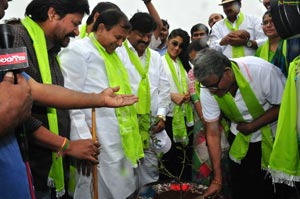 Regina Cassandra Haritha Haram Program