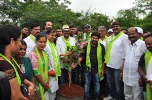 Regina Cassandra Haritha Haram Program