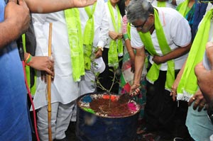 Regina Cassandra Haritha Haram Program