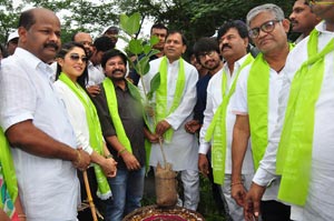 Regina Cassandra Haritha Haram Program