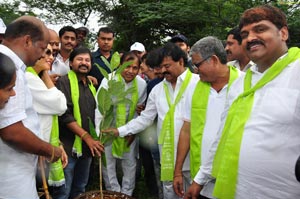 Regina Cassandra Haritha Haram Program