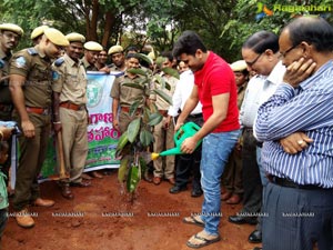 Sharwanand Haritha Haram