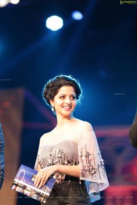 SIIMA 2016