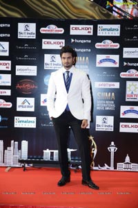 SIIMA 2016