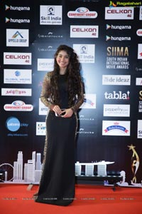 SIIMA 2016