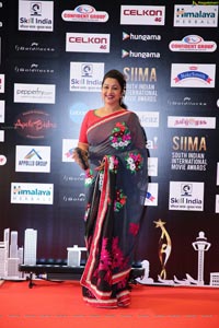 SIIMA 2016