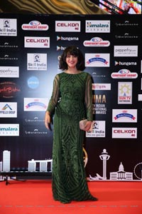 SIIMA 2016