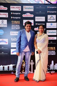 SIIMA 2016