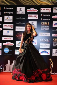 SIIMA 2016