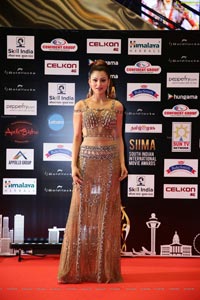 SIIMA 2016