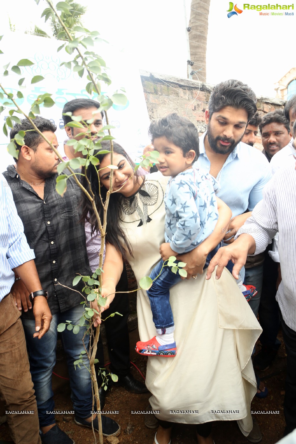 Tollywood Celebrities Participate in Haritha Haram Program