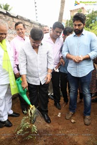 Haritha Haram Tollywood