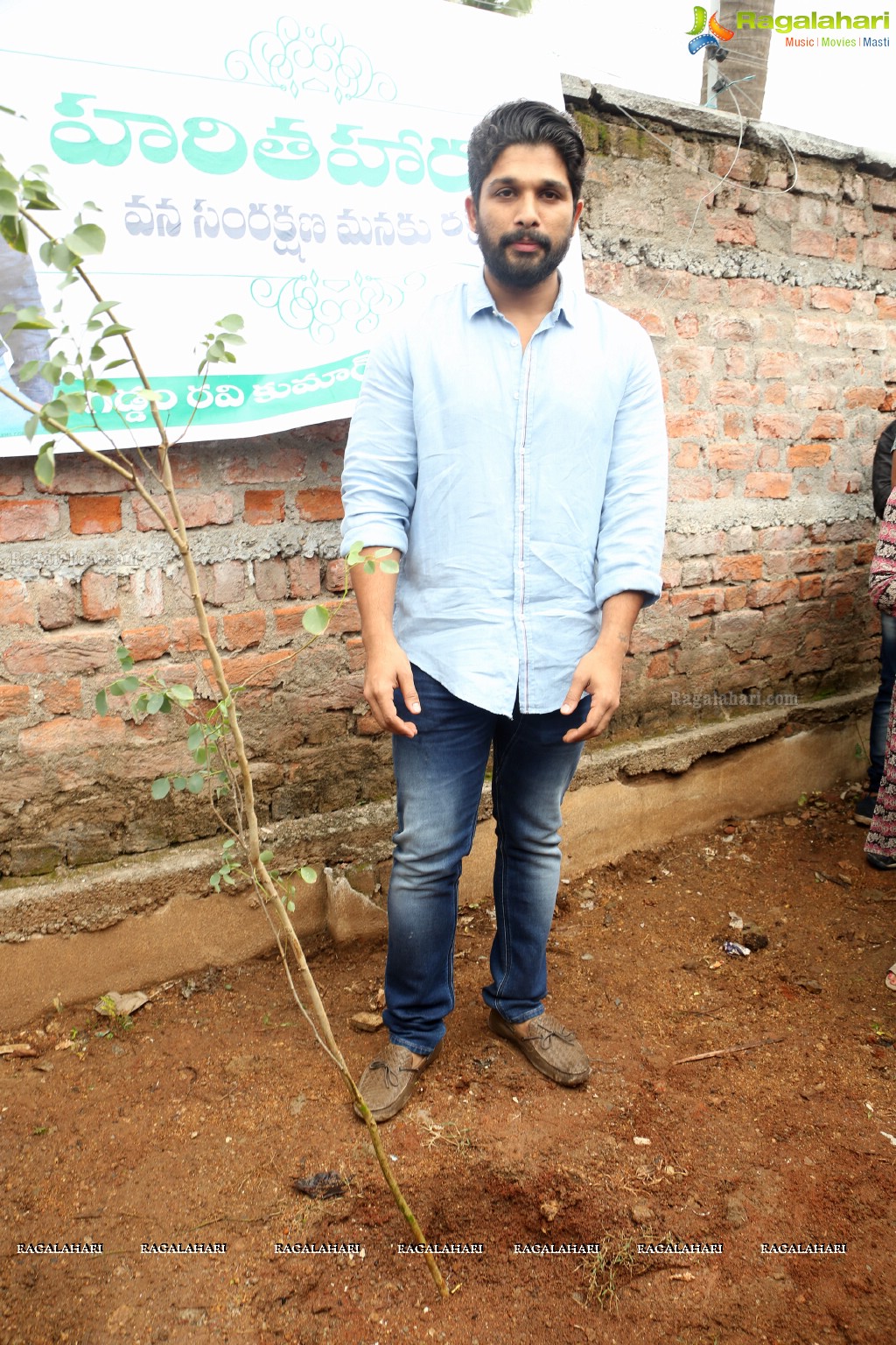 Tollywood Celebrities Participate in Haritha Haram Program