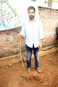 Haritha Haram Tollywood