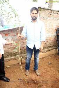 Haritha Haram Tollywood