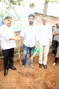 Haritha Haram Tollywood