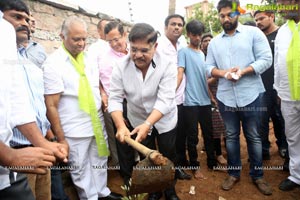 Haritha Haram Tollywood