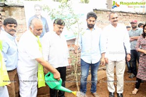 Haritha Haram Tollywood