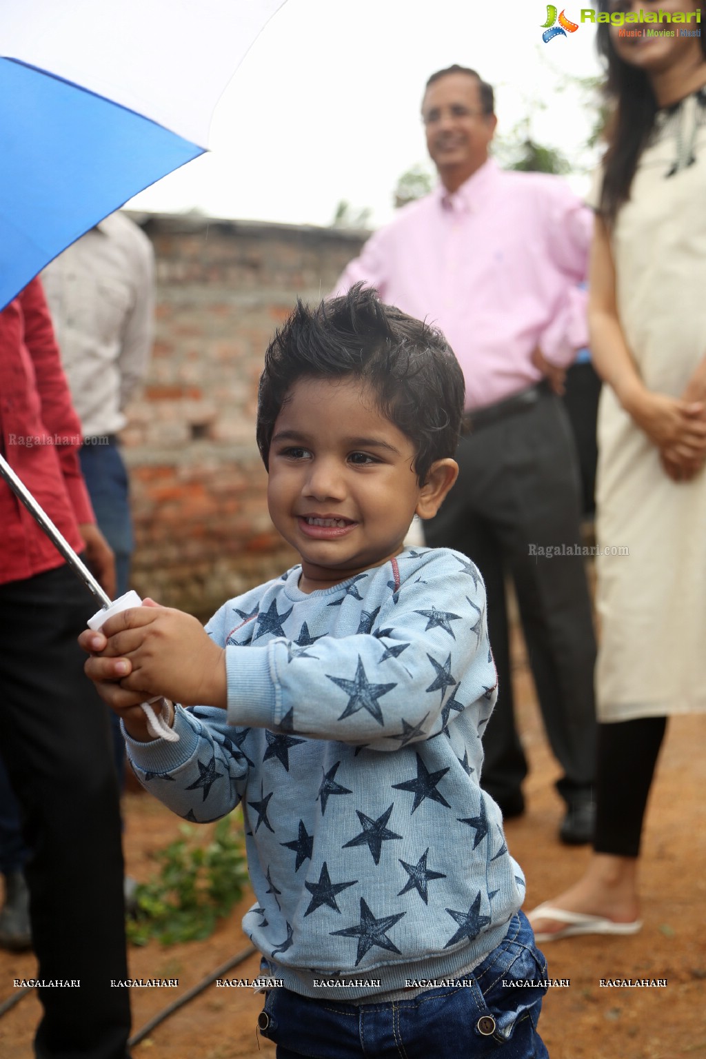 Tollywood Celebrities Participate in Haritha Haram Program