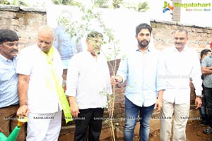 Haritha Haram Tollywood