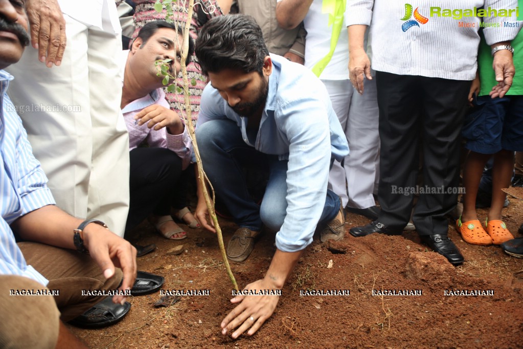 Tollywood Celebrities Participate in Haritha Haram Program