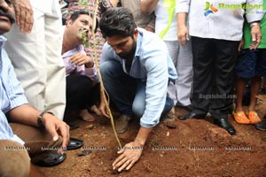 Haritha Haram Tollywood