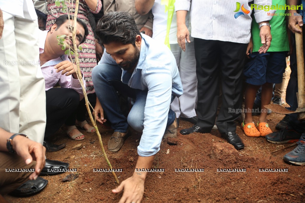 Tollywood Celebrities Participate in Haritha Haram Program